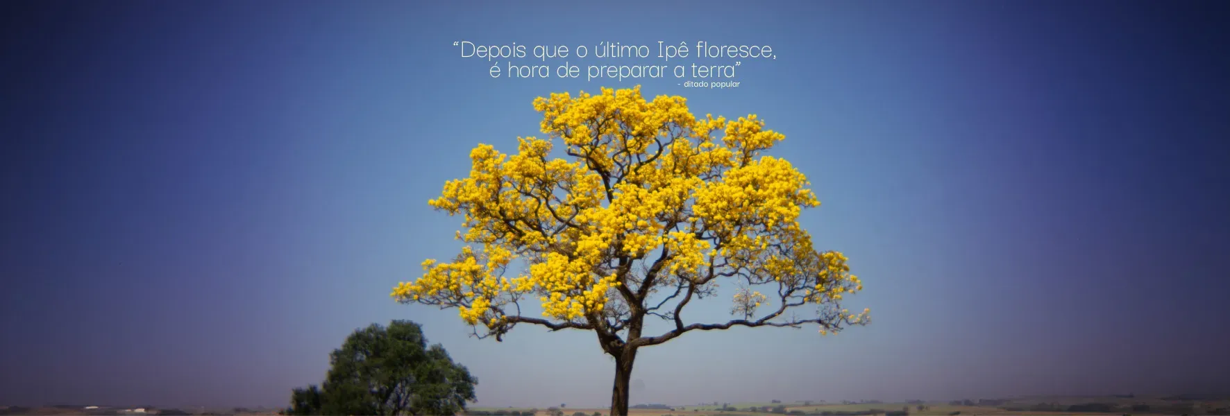 Banner Sementes Esperança